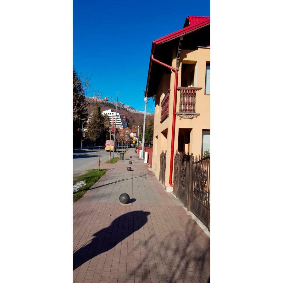 Vaso Apartament Sinaia Exterior photo